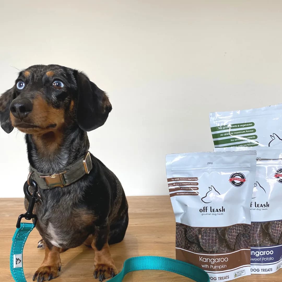 Off Leash Fetch Bundle